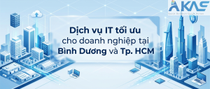 dich vu it thue ngoai binh duong tphcm akas