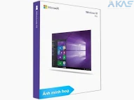 Windows 10 Pro OEM