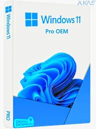 Windows 11 Pro OEM